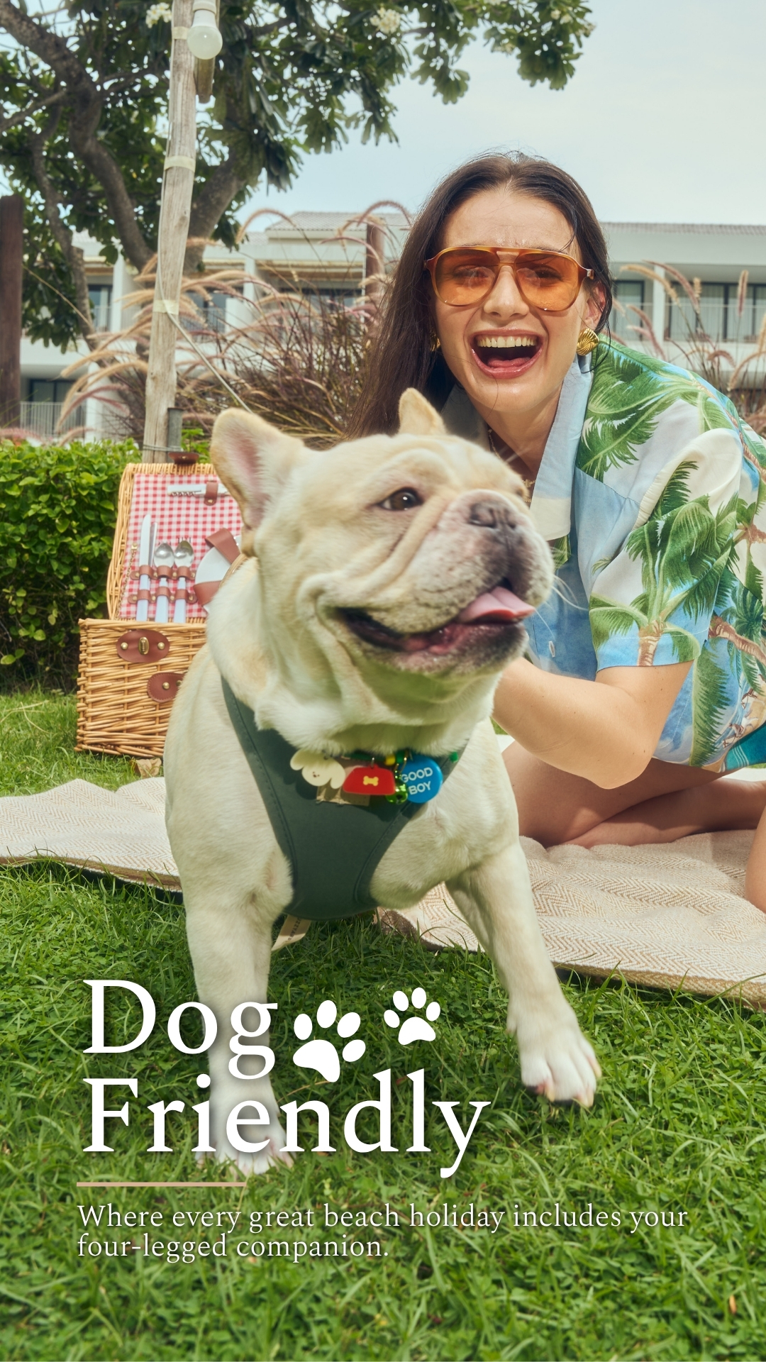 Luxury Hotel Dog Friendly